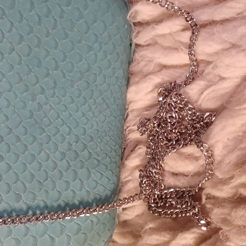 DvF Clutch/ crossbody - Picture 3 of 16